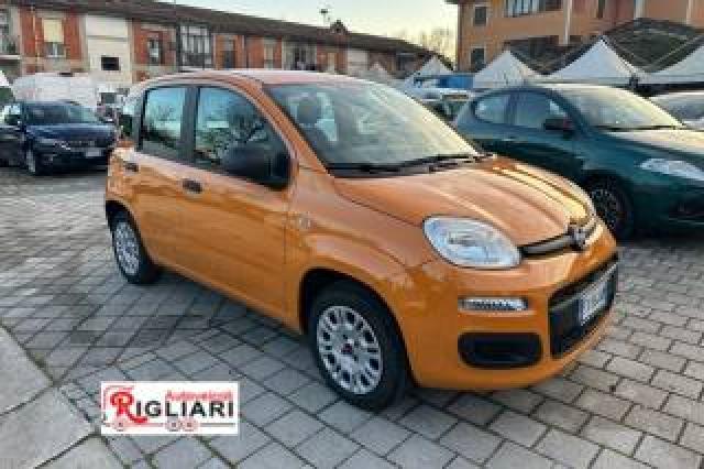 Fiat Panda Panda 1.2 Pop 