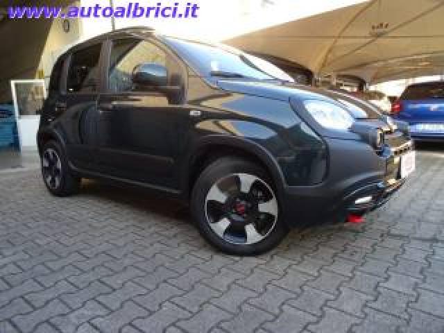 Fiat Panda Cross 1.0 Firefly 70 Cv S&s Hybrid 