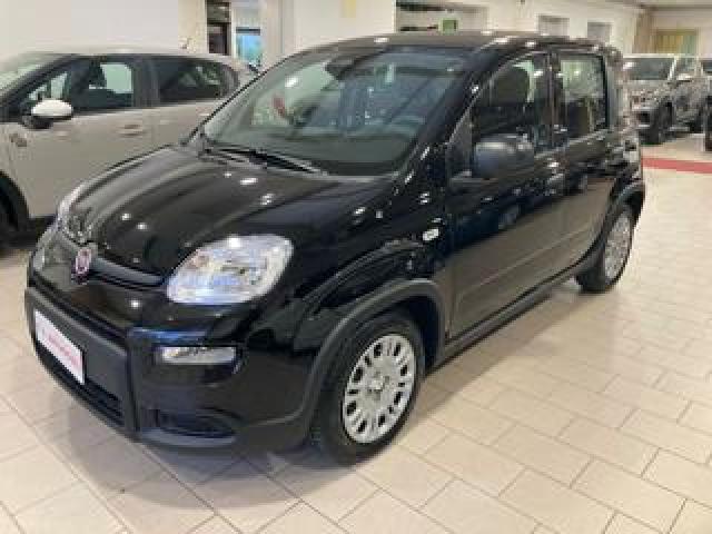 Fiat Panda 1.0 65cv Hybrid 