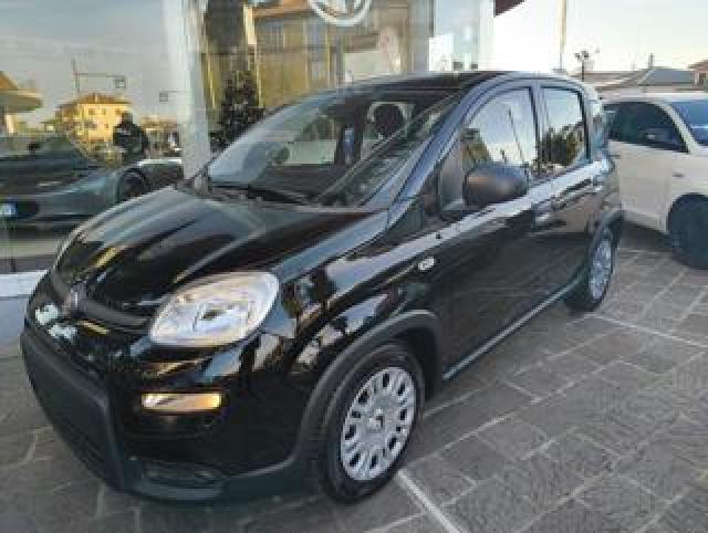 Fiat Panda 1.0 65cv Icon Hybrid 