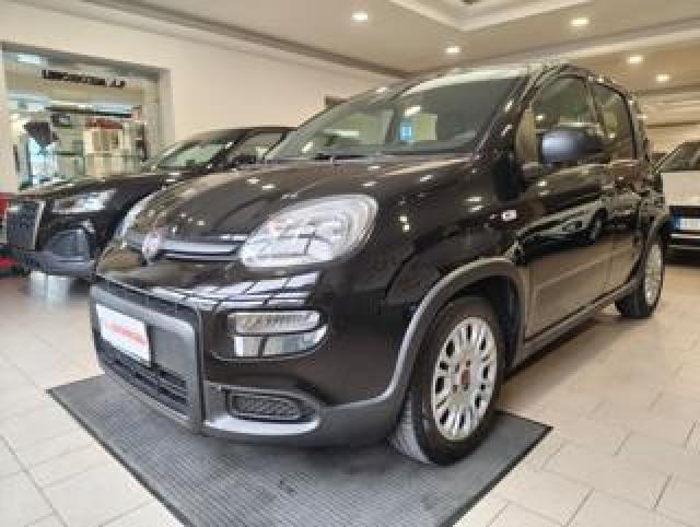 Fiat Panda 1.0 Firefly S&s Hybrid City Life#5 Posti 