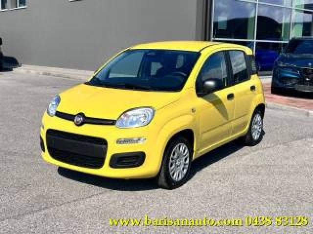 Fiat Panda 1.0 Firefly S&s Hybrid Icon / Kit 5 Posti 