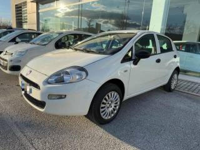 Fiat Punto 1.4 8v 5 Porte Natural Power Street 