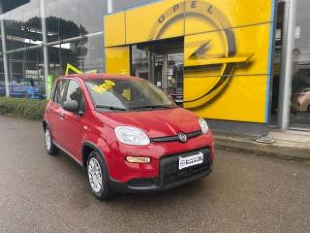 Fiat Panda 1.0 Firefly S&s Hybrid Pandina 