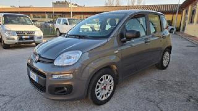 Fiat Panda 1.0 Firefly S&s Hybrid 5 Posti Azien.le Garanzia 