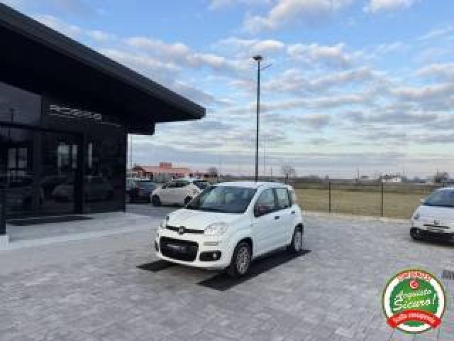 Fiat Panda 1.2 Easy Anche Per Neopatentati 