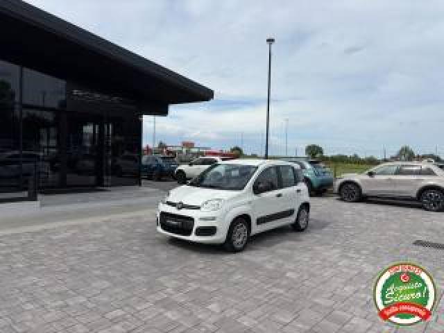 Fiat Panda 1.2 Easy Anche Per Neopatentati 