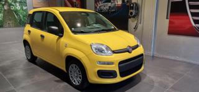 Fiat Panda 1.0 Firefly S&s Hybrid Pop 