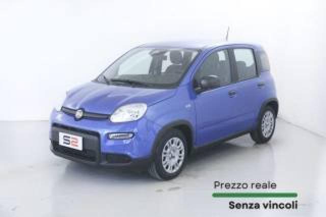 Fiat Pandina 1.0 Firefly S&s Hybrid / Pack City / Neopatentati 