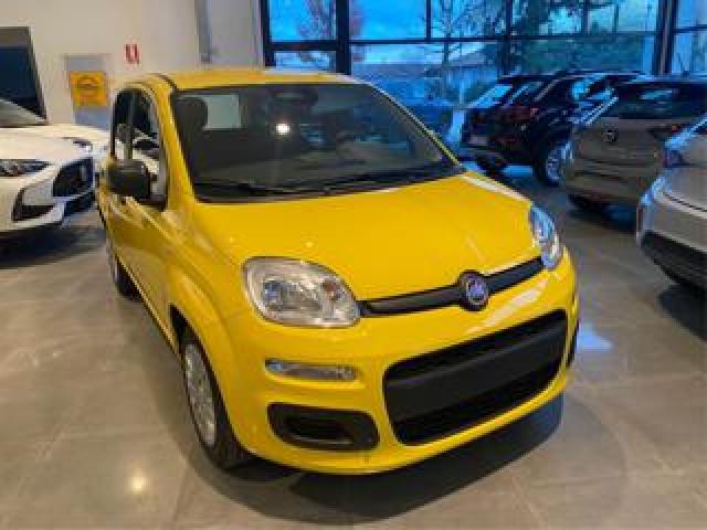 Fiat Panda 1.0  Hybrid/vari Colori/promo Rottamazione 