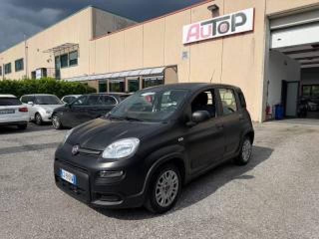 Fiat Panda 1.0 Gse S&s Hybrid Street Van 4 Posti Autocarro 