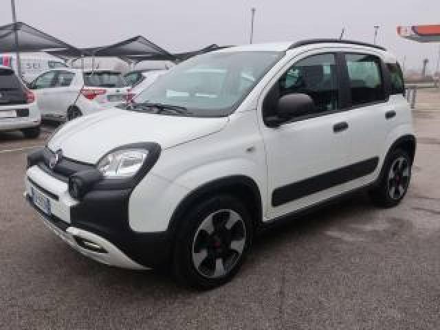 Fiat Panda Panda 1.0 Hybrid City Cross S&s - Per Neopat. 