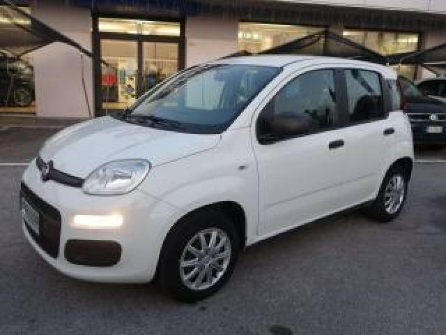 Fiat Panda 1.2 Easy S&s - Per Neopat. 