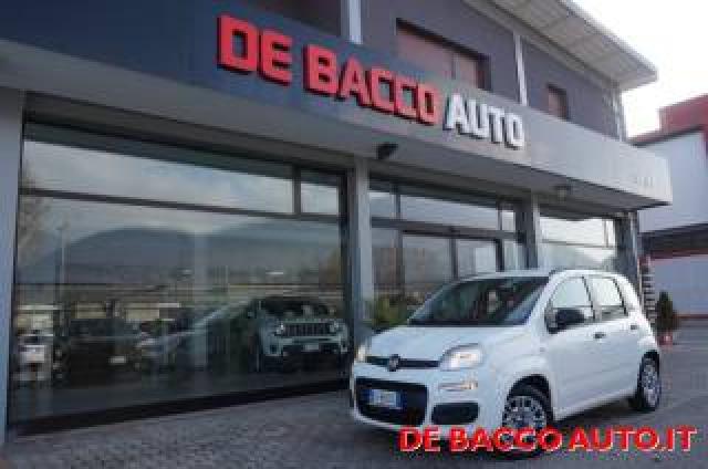 Fiat Panda 1.3 Mjt Easy 75 Cv Ok Neopatentati 