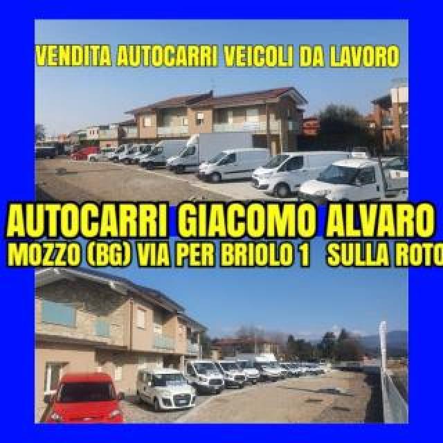 Fiat Other Ribatabile  Gru 