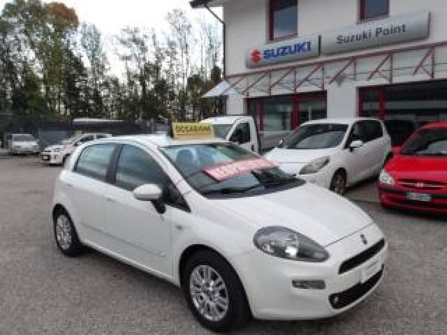 Fiat Punto 1.2 8v 5p Lounge Neopatentati 