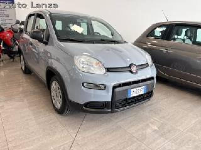 Fiat Panda 1.0 Firefly S&s Hybrid  Prezzo Reale 