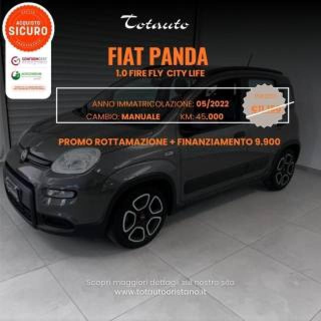 Fiat Panda 1.0 Firefly S&s Hybrid City Life 
