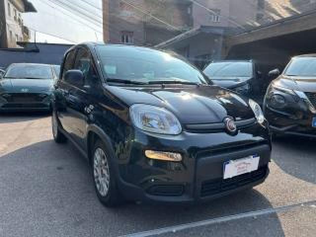Fiat Panda 1.0 Firefly  *prezzo Promo* 