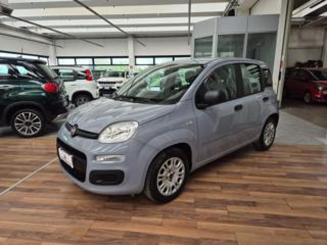 Fiat Panda 1.0 Firefly S&s Hybrid-5°posto-Radio-Ruotino 