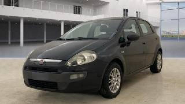 Fiat Punto Evo 1.3 Mjt 75 Cv Dpf 5 Porte S&s Dynamic 