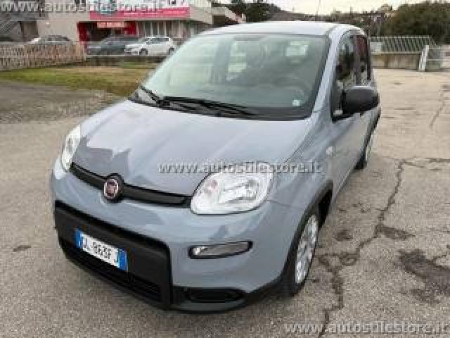 Fiat Panda 1.0 Firefly Hybrid Promo 