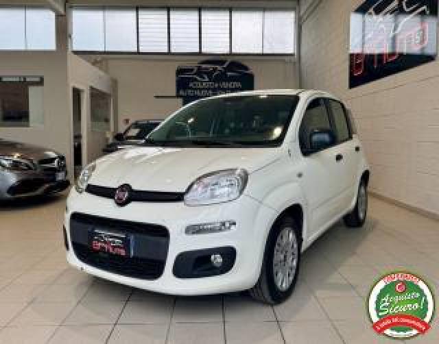 Fiat Panda 1.3 Mjt S&s Easy *neopatentati* 