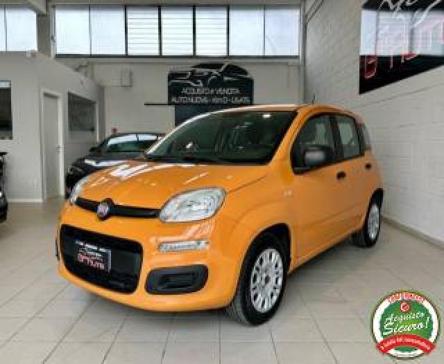 Fiat Panda 1.2 Pop *neopatentati* 