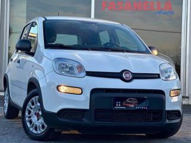 Fiat Panda 1.0 Firefly S&s Hybrid - Aziendale - No Vincoli 