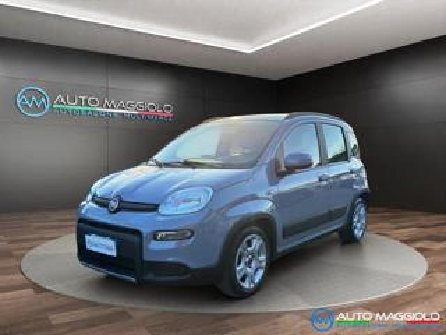 Fiat Panda 1.0 Firefly S&s Hybrid City Life Neo Patentati 