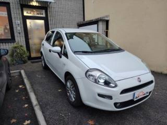 Fiat Punto 1.2 8v 5 Porte Street Neopatentati 