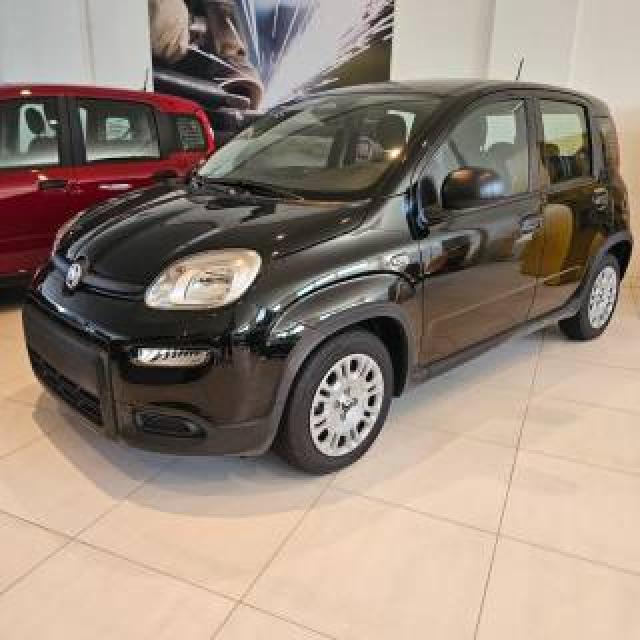 Fiat Panda 1.0 Firefly S&s Hybrid Pandina 