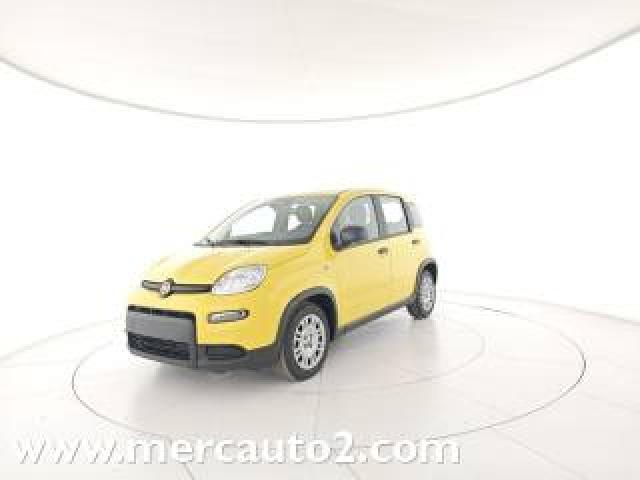 Fiat Panda 1.0 Firefly S&s Hybrid Pandina Ok Neopatentato 