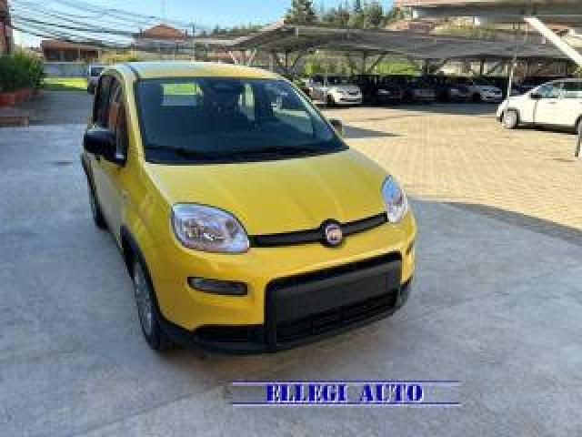 Fiat Panda Fin 1.0 70 Cv Hybrid Adas Con Rottamazione 