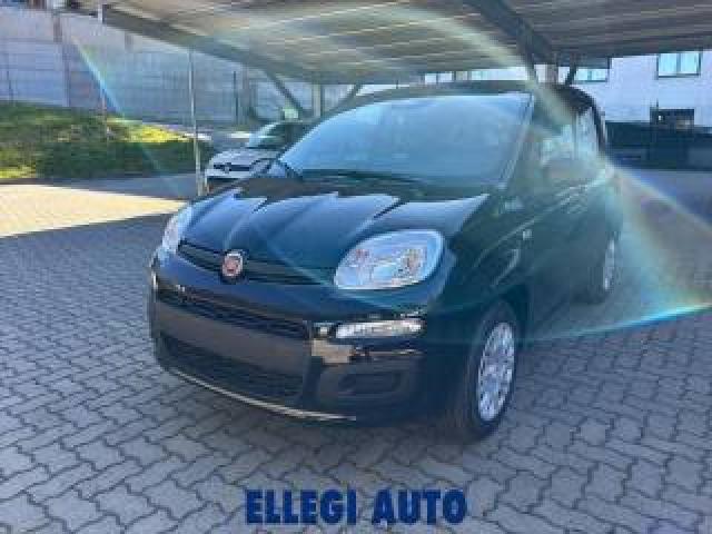 Fiat Panda Promo Finanz 1.0 Hybrid Icon  Km 0  