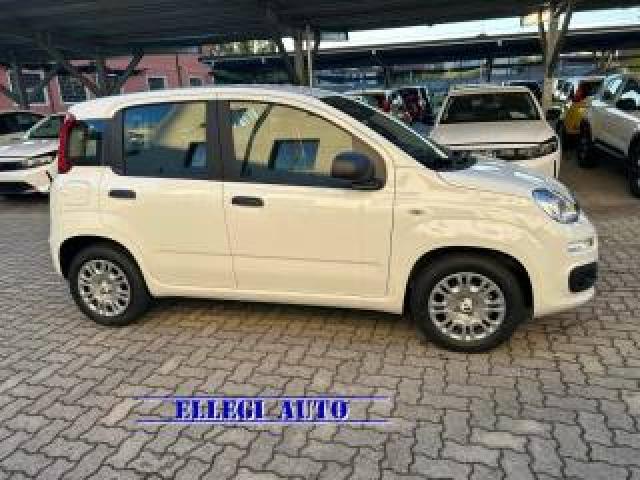 Fiat Panda Promo Finanz  1.0 Hybrid Icon Km 0  