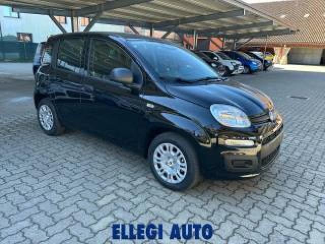 Fiat Panda 1.0 Hybrid Icon  Km 0 
