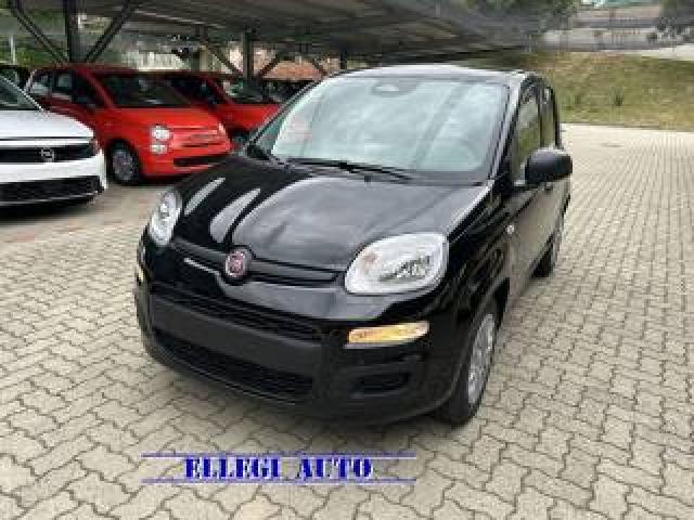 Fiat Panda 1.0 Hybrid Icon 5 Posti Km 0 