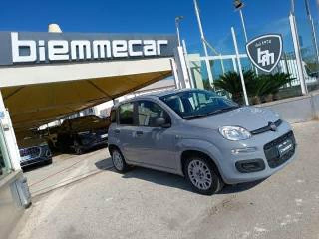 Fiat Panda 1.0 Firefly S&s Hybrid City Life I.e 