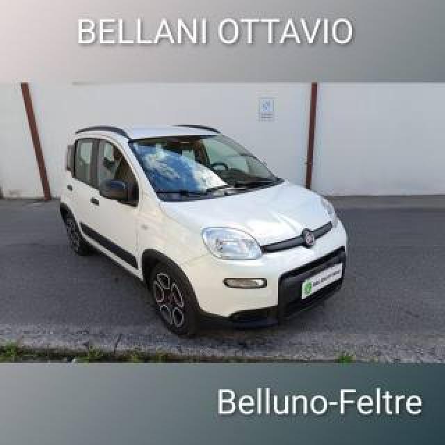 Fiat Panda 1.0 Firefly S&s Hybrid City Life 