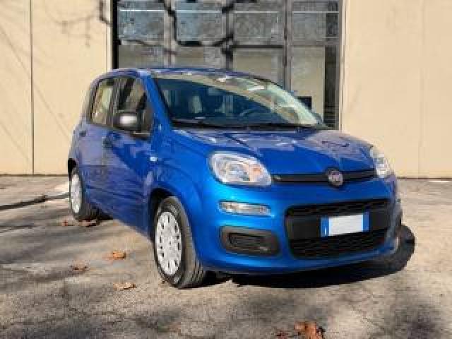 Fiat Panda 1.0 Firefly S&s Hybrid Icon 