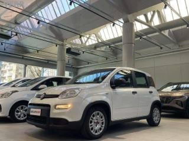 Fiat Panda Panda Iii 2021 1.0 Firefly Hybrid S Promo48 