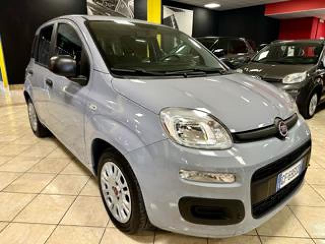 Fiat Panda 1.0 Firefly S&s Hybrid Unipro 30.000 Km! 