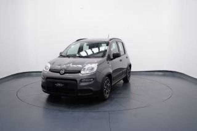 Fiat New Panda 1.0 Firefly City Life S&s Hybrid  