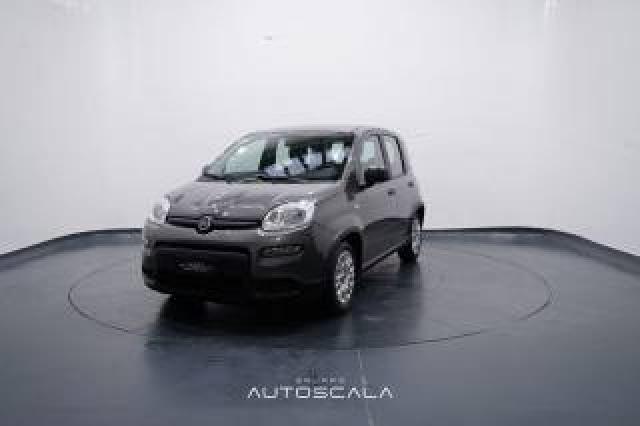 Fiat New Panda 1.0 Firefly City Life S&s Hybrid  