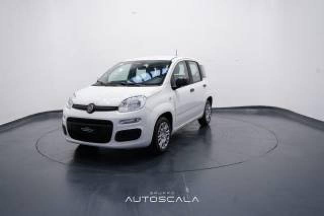 Fiat New Panda Icon 1.0 Firefly S&s Hybrid 
