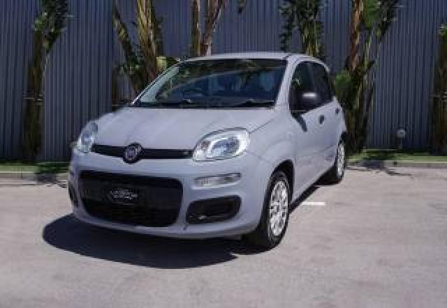 Fiat New Panda 1.2 Easy Gpl  