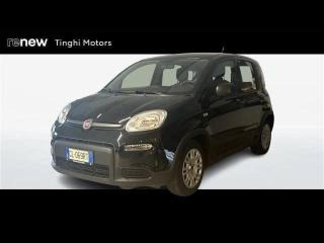 Fiat Panda City Cross 1.0 Firefly Hybrid 70cv S&s 5p.ti 