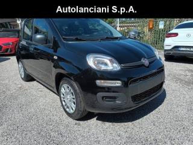 Fiat Panda 1000 Hybrid 70 Cv Pdc Italia 