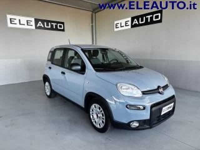 Fiat Panda 1.0 Firefly S&s Hybrid - Neopatentati 